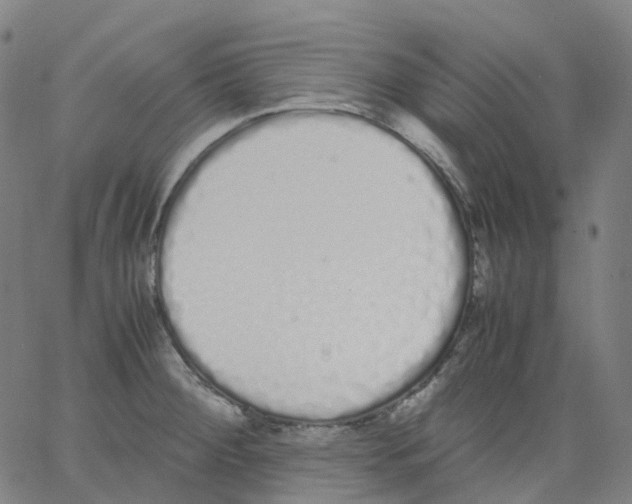 X0000062901284200602101757