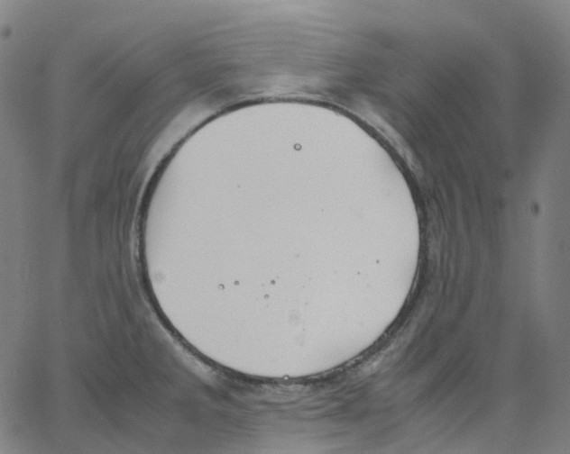 X0000062901285200602101757