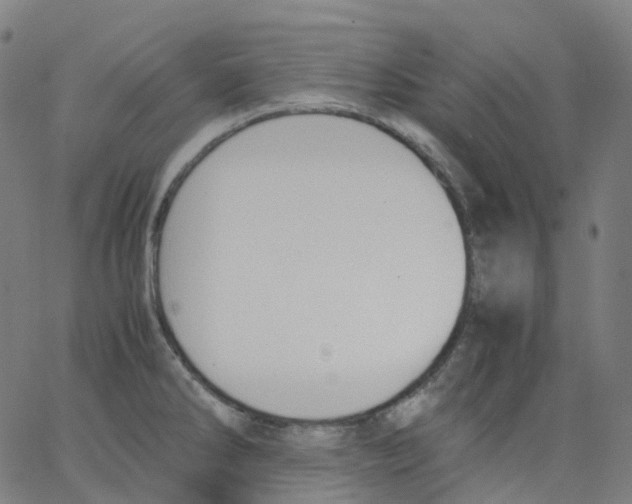 X0000062901286200602101757