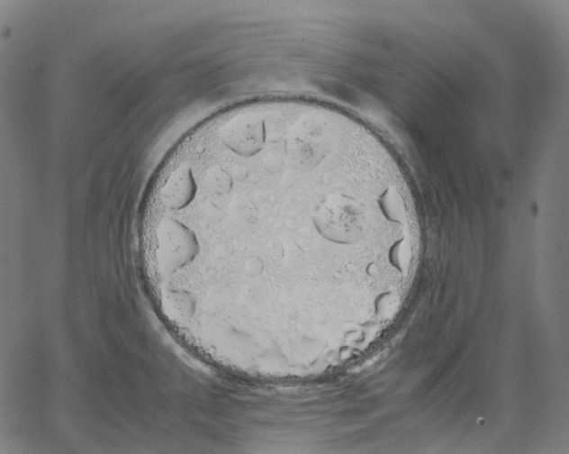 X0000062901287200602101757