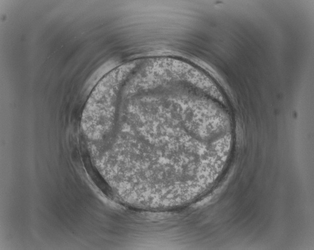 X0000062901289200602101757