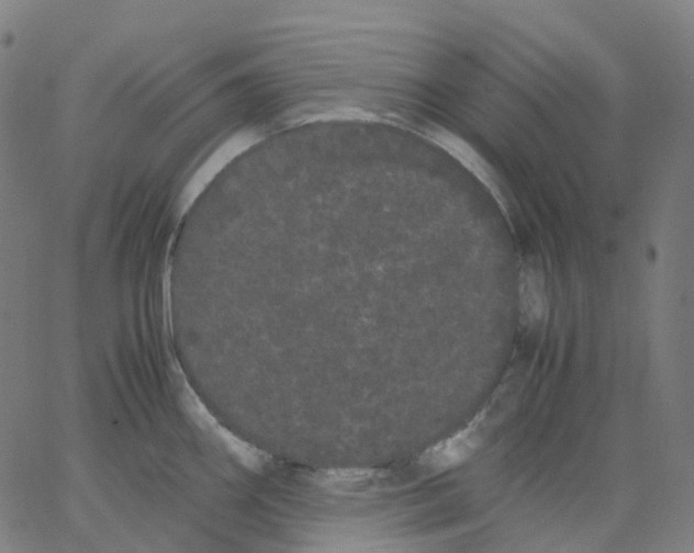 X0000062901290200602101757