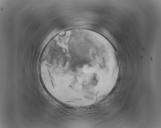 X0000062901291200602101757