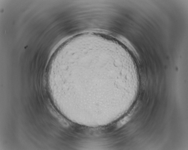 X0000062901292200602101757