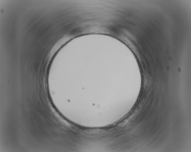 X0000062901293200602101757