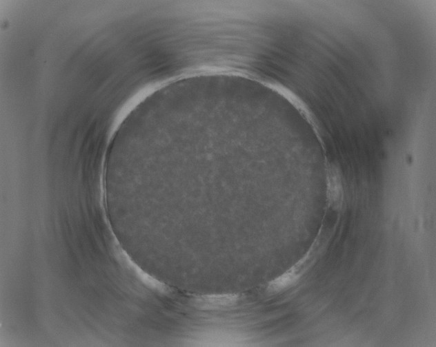 X0000062901294200602101757