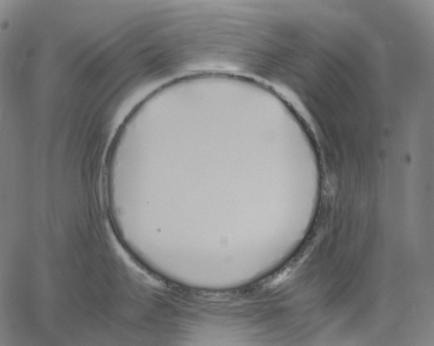 X0000062901295200602101757