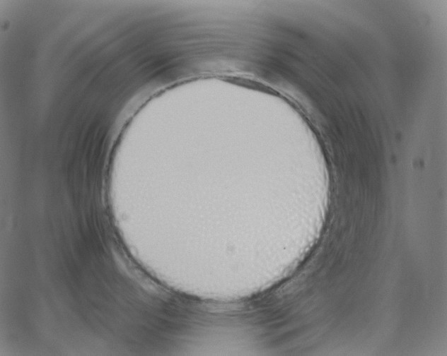 X0000062901296200602101757