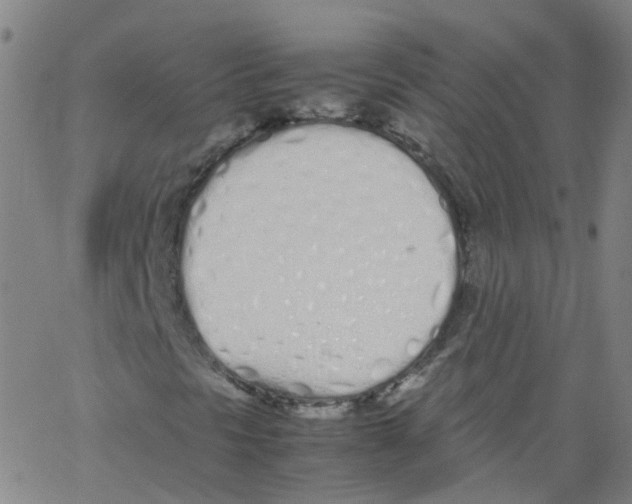 X0000062901297200602101756