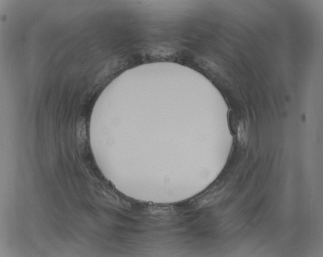 X0000062901299200602101756