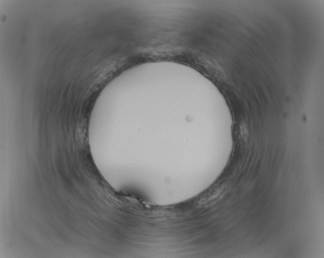 X0000062901300200602101756