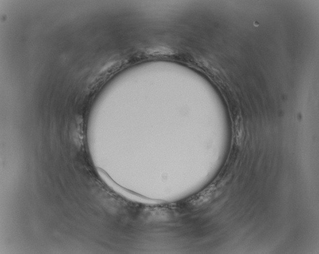 X0000062901301200602101756