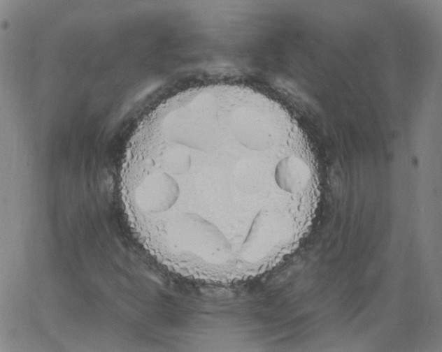 X0000062901302200602101756