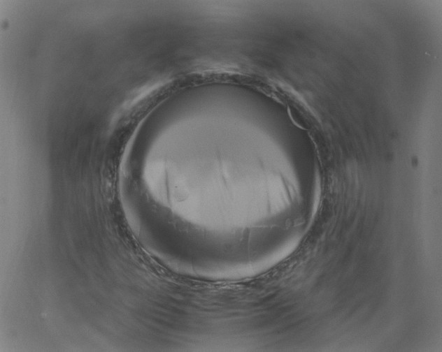 X0000062901303200602101756