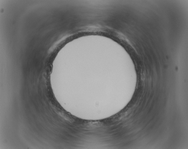 X0000062901304200602101756