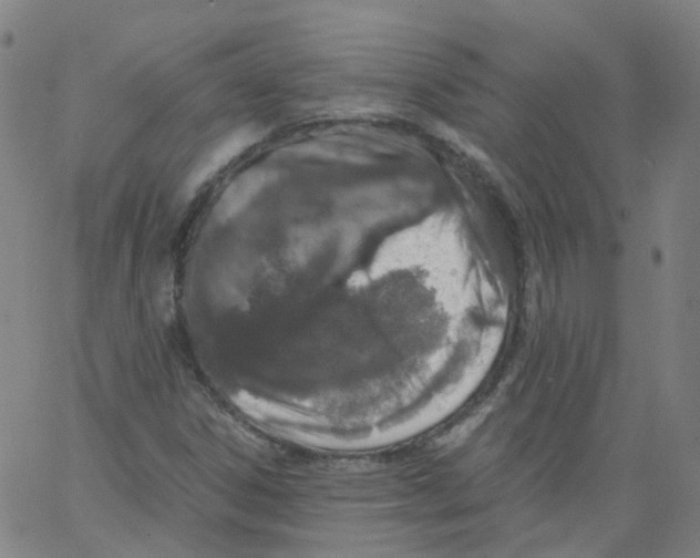 X0000062901306200602101757