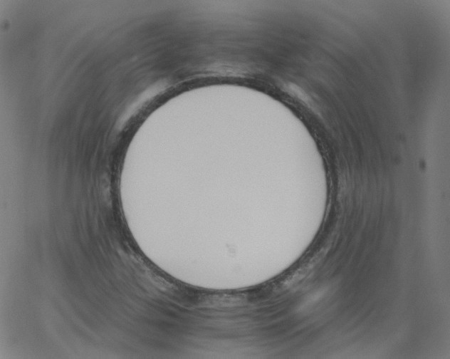 X0000062901307200602101757