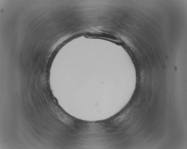 X0000062901308200602101757