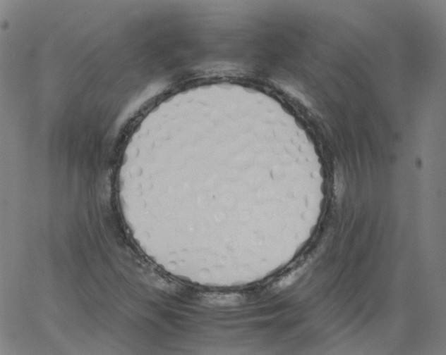 X0000062901309200602101757