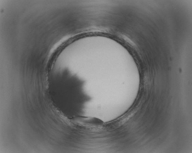 X0000062901310200602101757