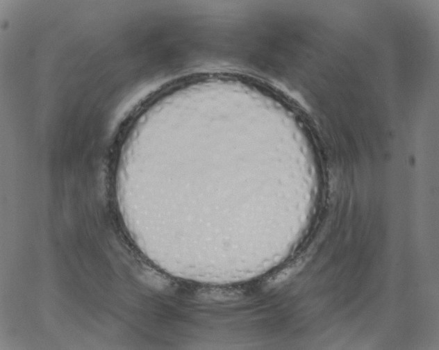 X0000062901311200602101757