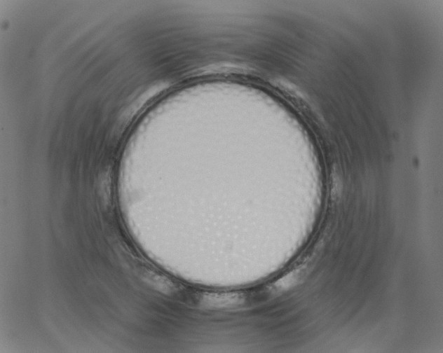 X0000062901313200602101757