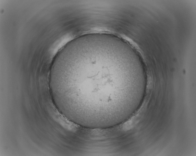 X0000062901314200602101757