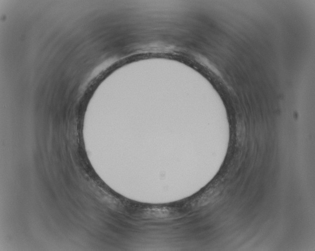 X0000062901315200602101757