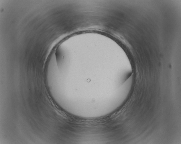 X0000062901316200602101757