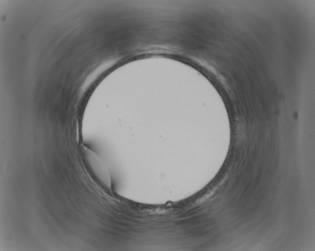 X0000062901317200602101757