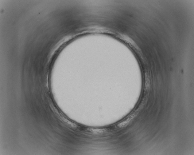 X0000062901318200602101757