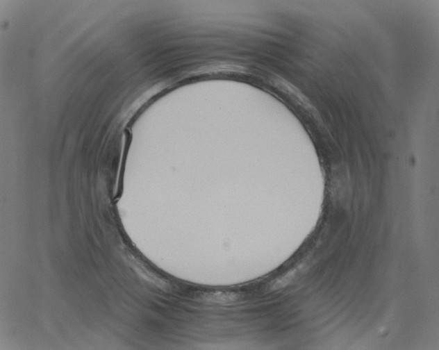 X0000062901321200602101757