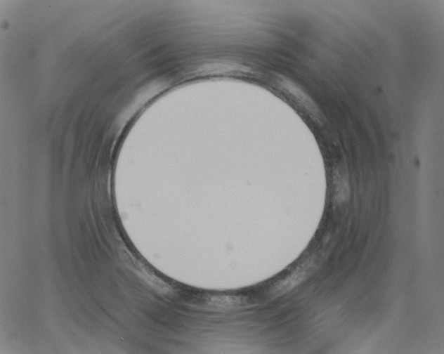 X0000062901322200602101757