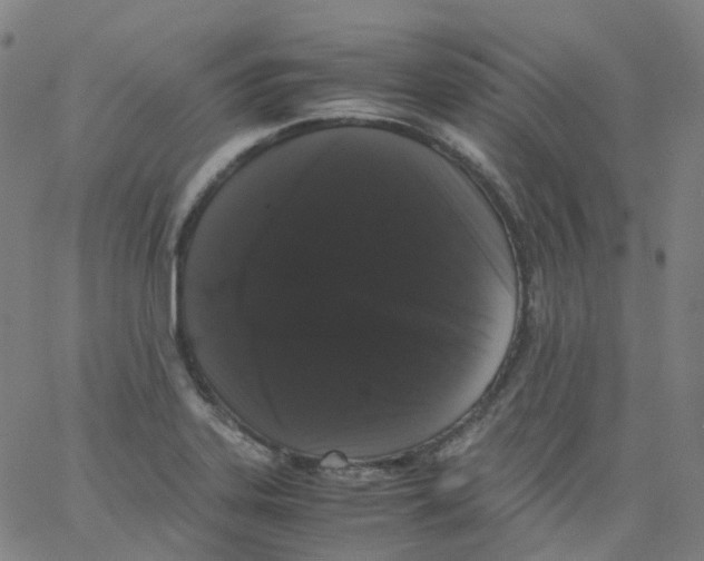 X0000062901323200602101757