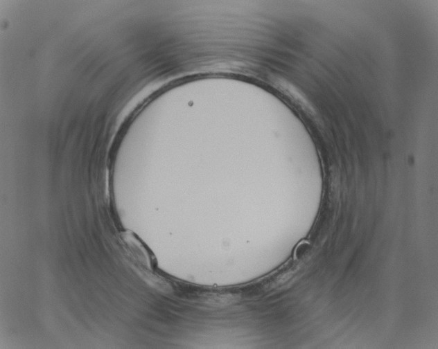 X0000062901324200602101757