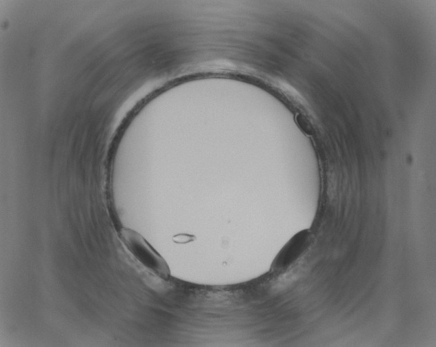 X0000062901326200602101757