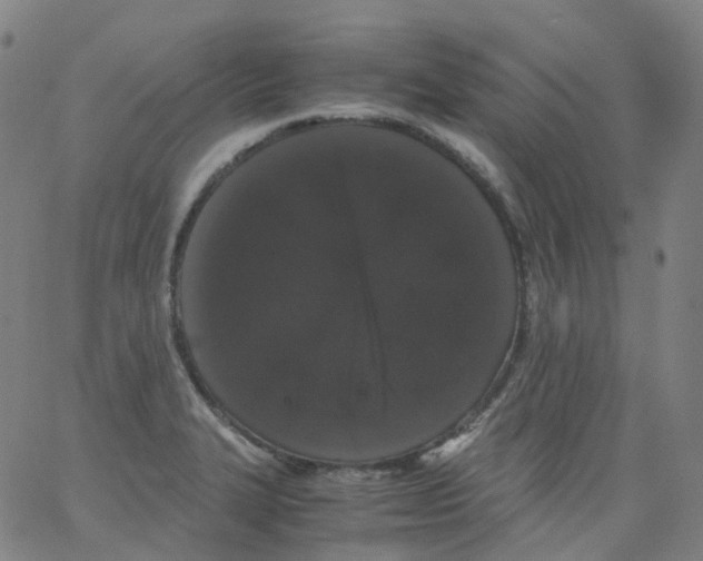 X0000062901327200602101757