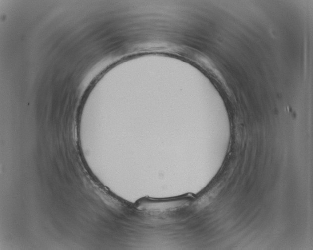 X0000062901328200602101757