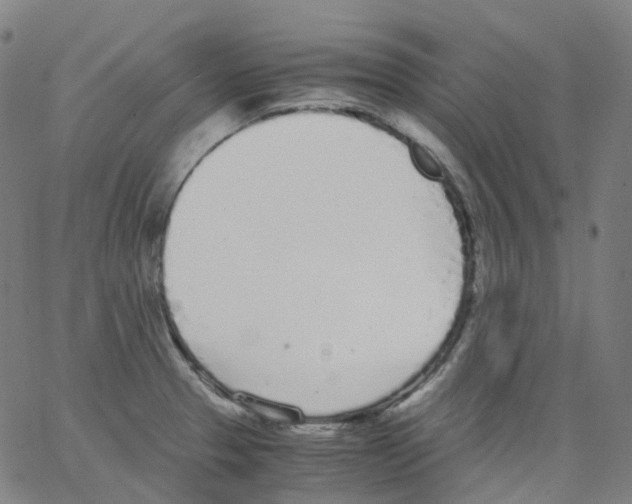 X0000062901329200602101757