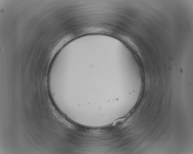 X0000062901330200602101757