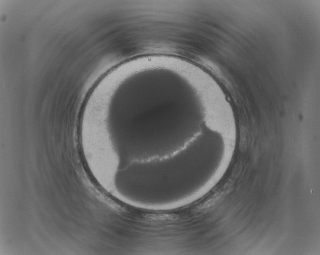 X0000062901331200602101757