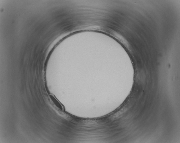 X0000062901332200602101757