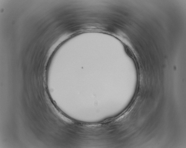 X0000062901333200602101757