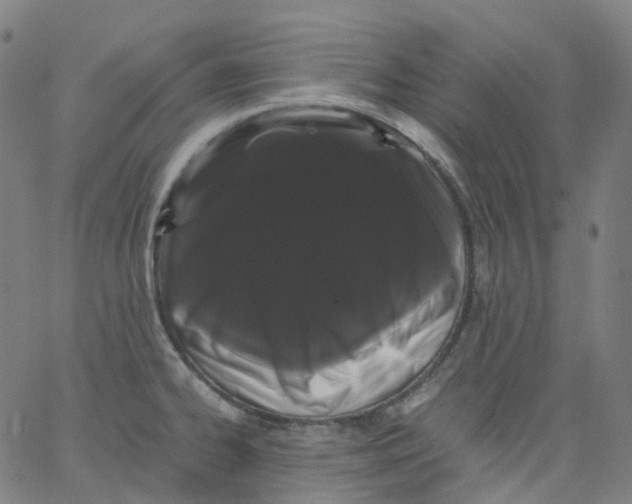 X0000062901334200602101757