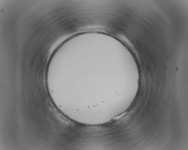 X0000062901336200602101757