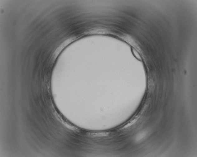 X0000062901337200602101757