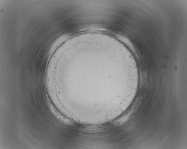 X0000062901338200602101757