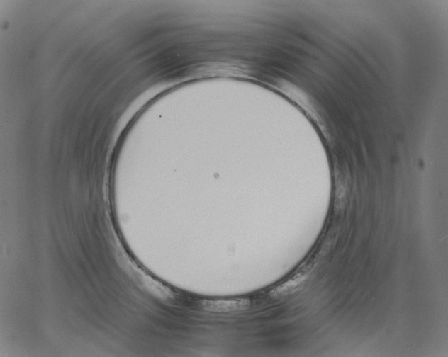 X0000062901339200602101757