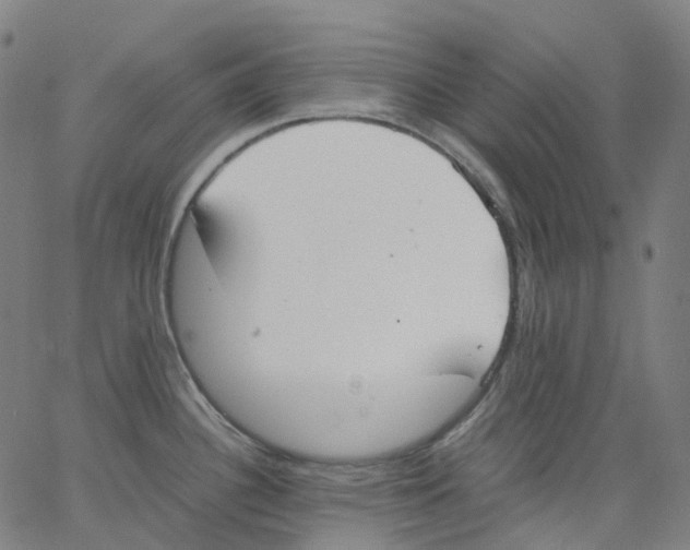 X0000062901340200602101757