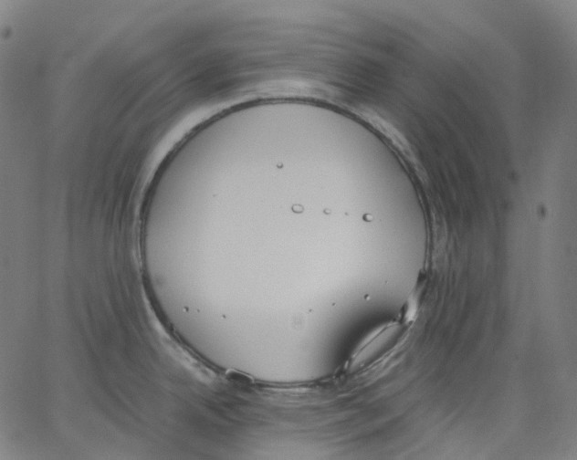 X0000062901342200602101757